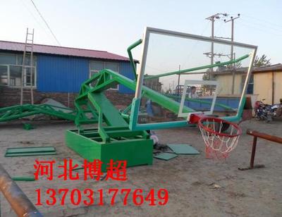 中小學(xué)達(dá)標(biāo)籃球架專(zhuān)業(yè)生產(chǎn)廠(chǎng)家，助力校園體育設(shè)施建設(shè)